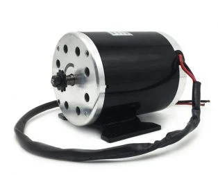 Ebike Motors and Controllers MY1020 48V 1000W Electric Go-kart Brushed DC Motor with Foot