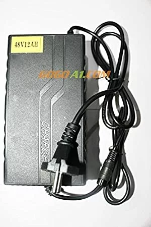 Lithium charger (48v 6A)